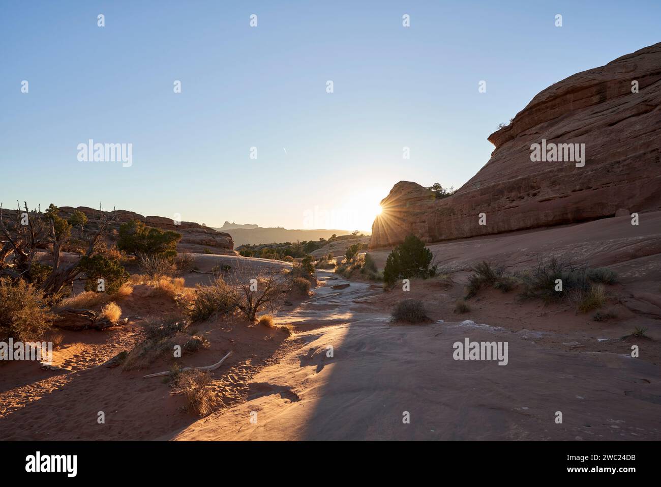 Il sole crea ombre sul deserto asciutto dello utah. Queste formazioni rocciose si trovano nei pressi di Moab, nel Parco Nazionale degli Arches. L'arenaria sorge dalla san Foto Stock
