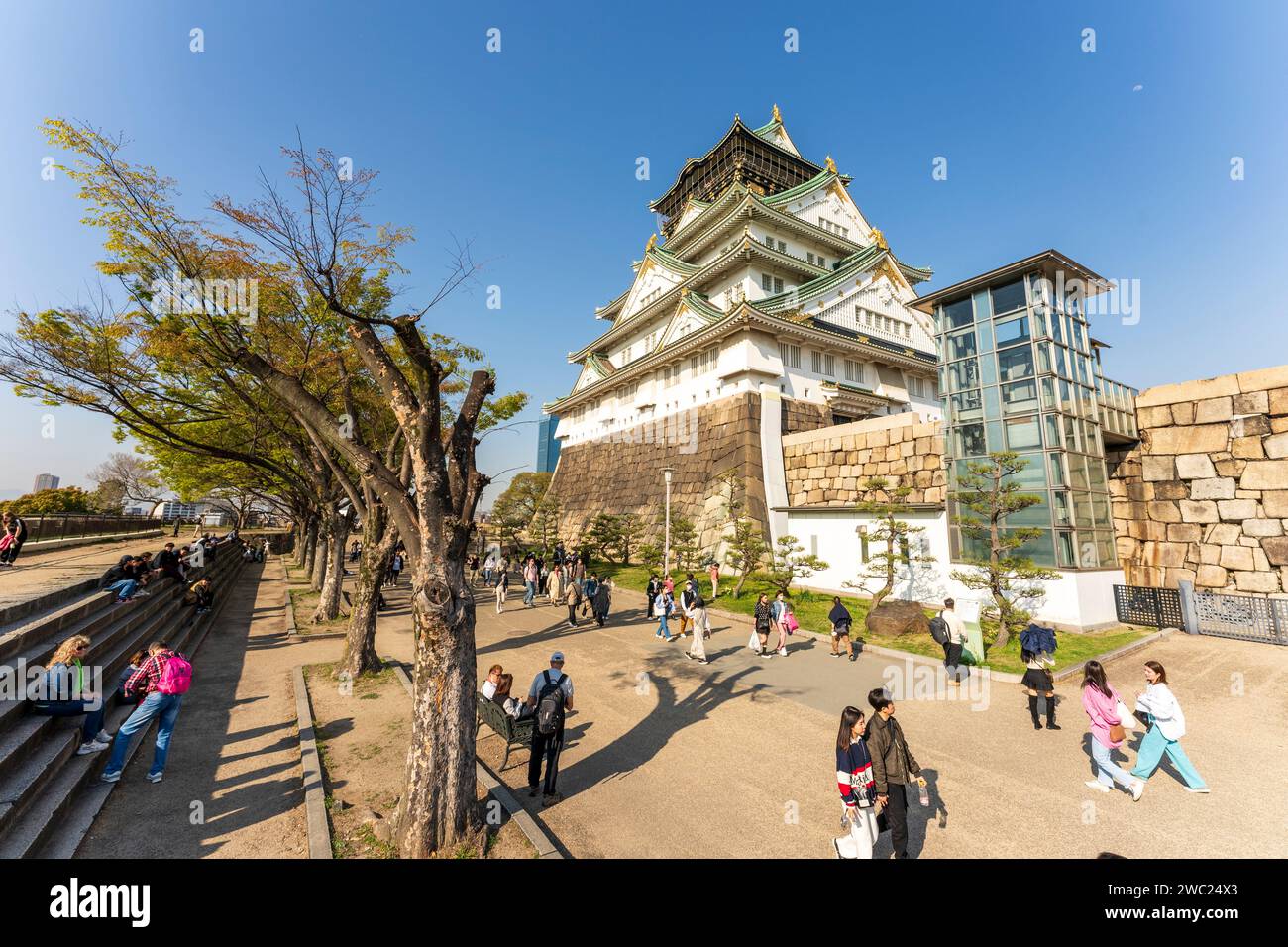 Castello in stile Borogata del Castello di Osaka con il famigerato ascensore Tempaku in vetro e metallo che fornisce l'accesso per le persone disabili alla fortezza. Cielo blu Foto Stock