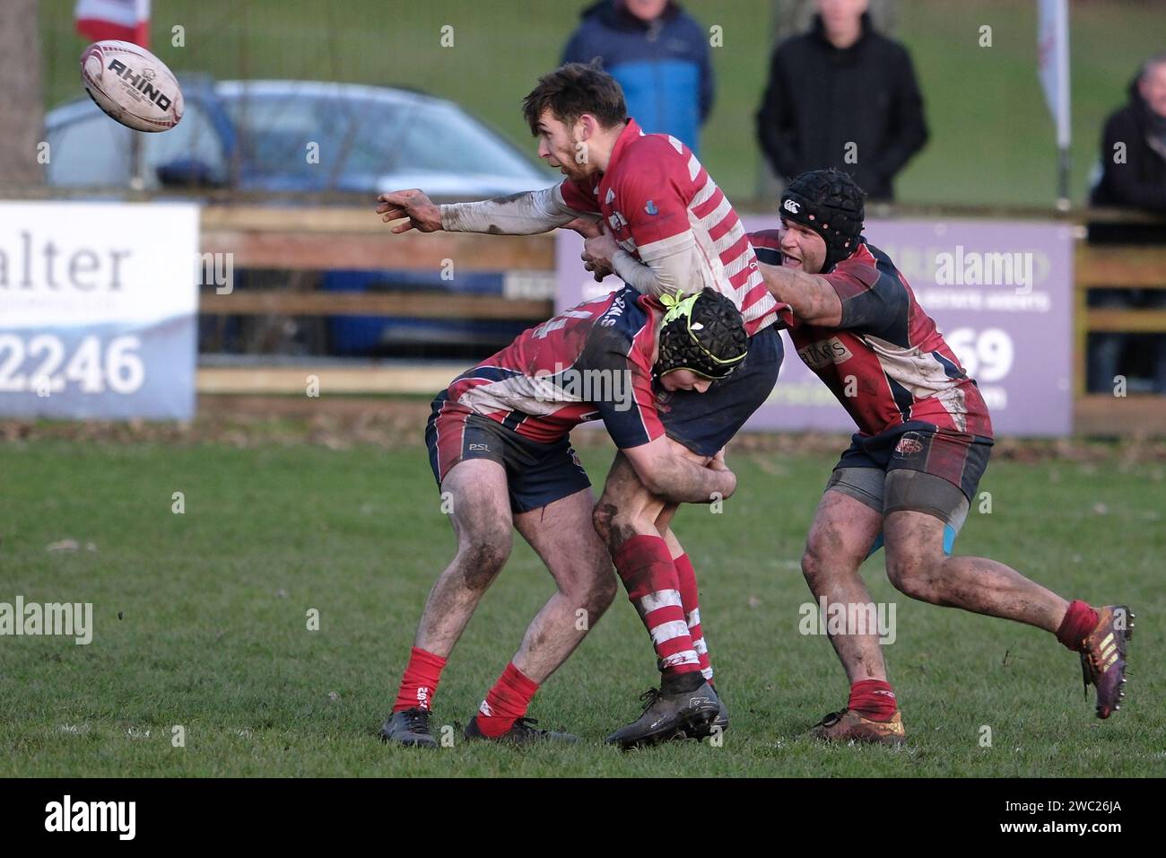 Peebles, Regno Unito. 13 gennaio 2024. Scottish Rugby Union, National League Division 2. Peebles RFC contro Newton Stewart RFC, James Dow (Peebles RFC) scarta il pallone mentre viene placcato dalla difesa di Newton Stewart. In cima al tavolo Peebles ospita il terzo posto Newton Stewart giocando ai Gytes, Peebles sabato 13 gennaio 2024. ( Credit: Rob Gray/Alamy Live News Foto Stock