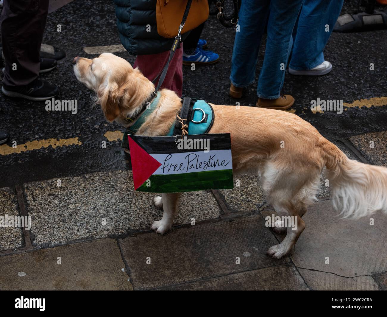 marcia di protesta per chiedere un cessate il fuoco nel conflitto israelo-palestinese, che si svolge nella città di Dublino, in Irlanda. Foto Stock