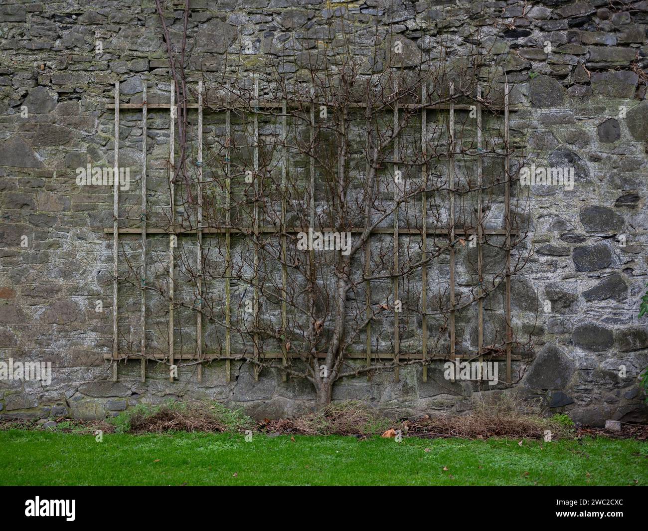 Royal Kilmainham Hospital, Dublino, Irlanda. Foto Stock