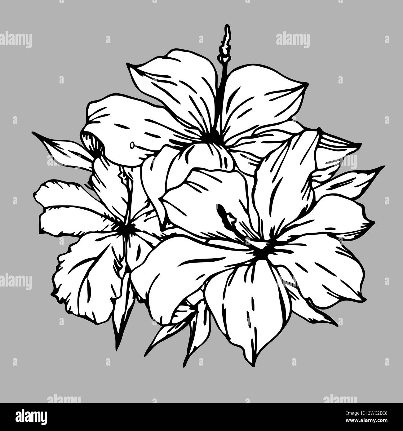 disegno lineare grafico in bianco e nero di un ramo di fiori su sfondo grigio, disegno Foto Stock