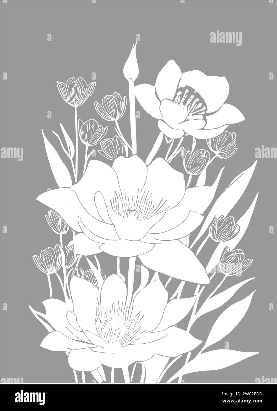 disegno lineare grafico bianco di un ramo di fiori su sfondo grigio, disegno Foto Stock
