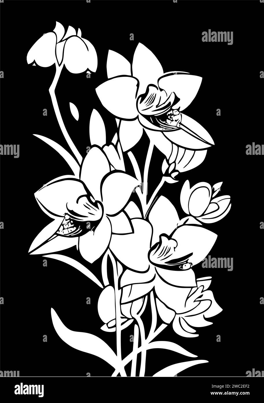 disegno lineare grafico bianco di un ramo di fiori su sfondo nero, disegno Foto Stock