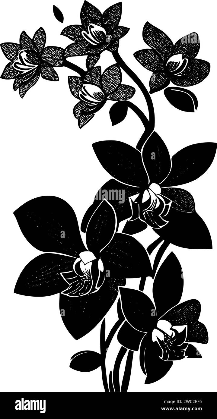 semplice disegno nero silhouette di fiori di orchidea, design Foto Stock