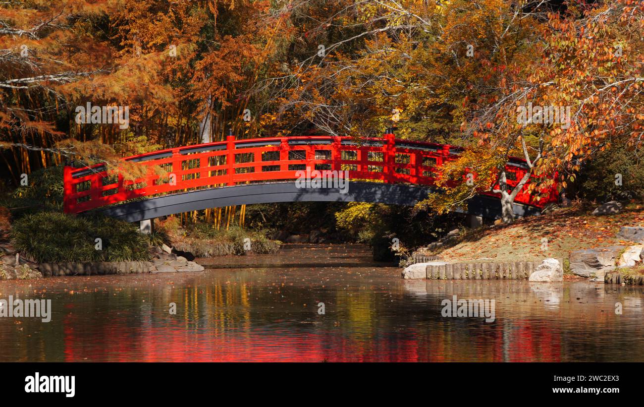 Un ponte rosso su uno stagno conduce ad un giardino giapponese alla Duke University di Durham, Carolina del Nord. Duke Garden è una delle attrazioni della città Foto Stock