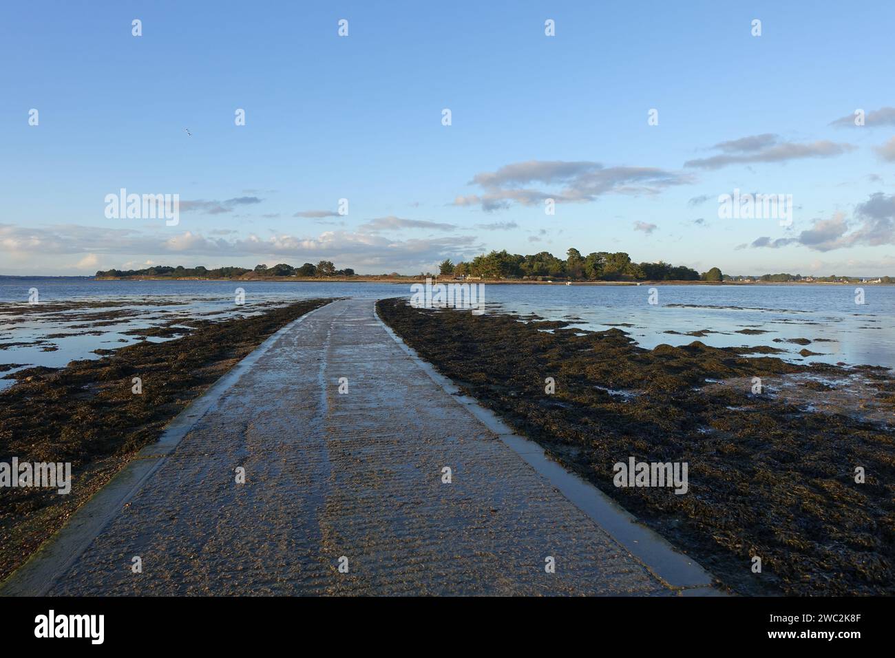 Una strada infinita, coperta dalla marea Foto Stock