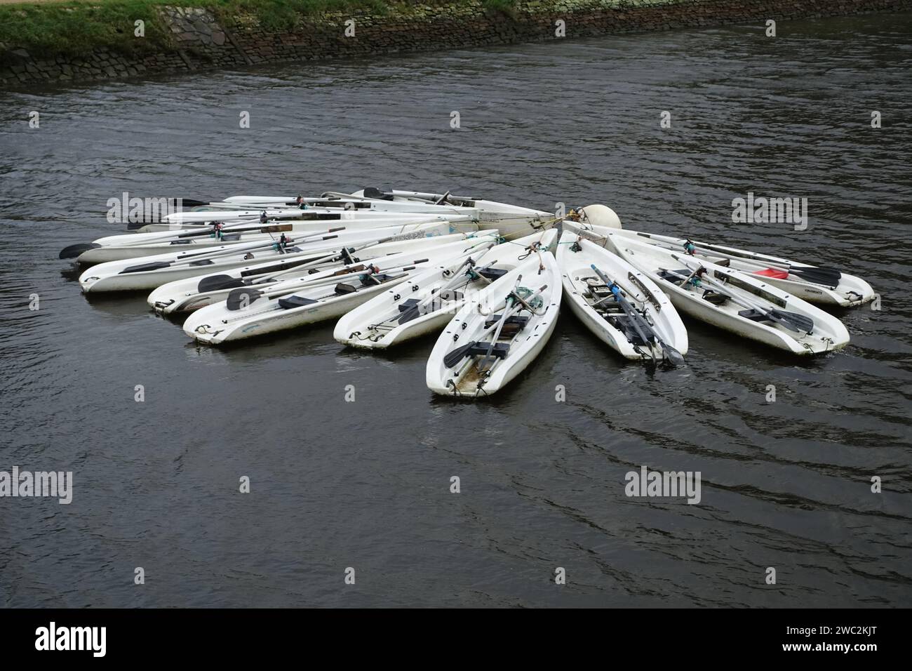 Canoe ormeggiate insieme nel porto di Vannes in Francia Foto Stock