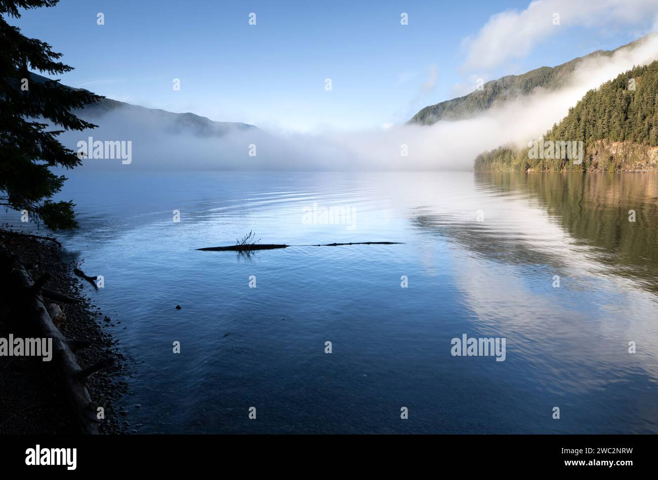 WA24660-00....WASHINGTON - nebbia calma che si solleva sul lago Crescent vicino al Lake Crescent Lodge. Foto Stock