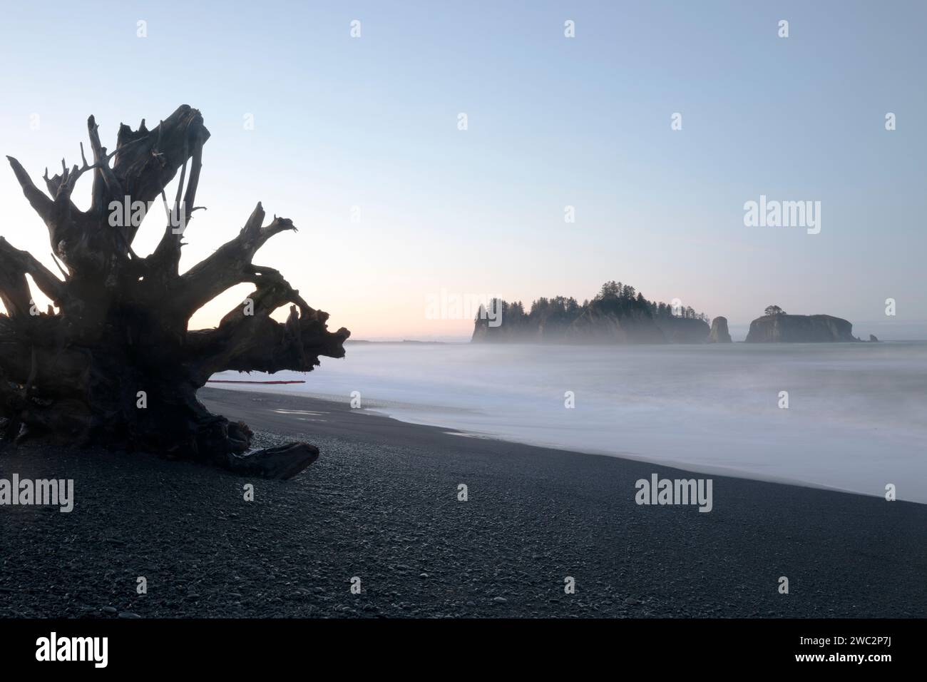 WA24679-00....WASHINGTON - alba sull'Oceano Pacifico a Rialto Beach nel Parco Nazionale Olimpico. Foto Stock