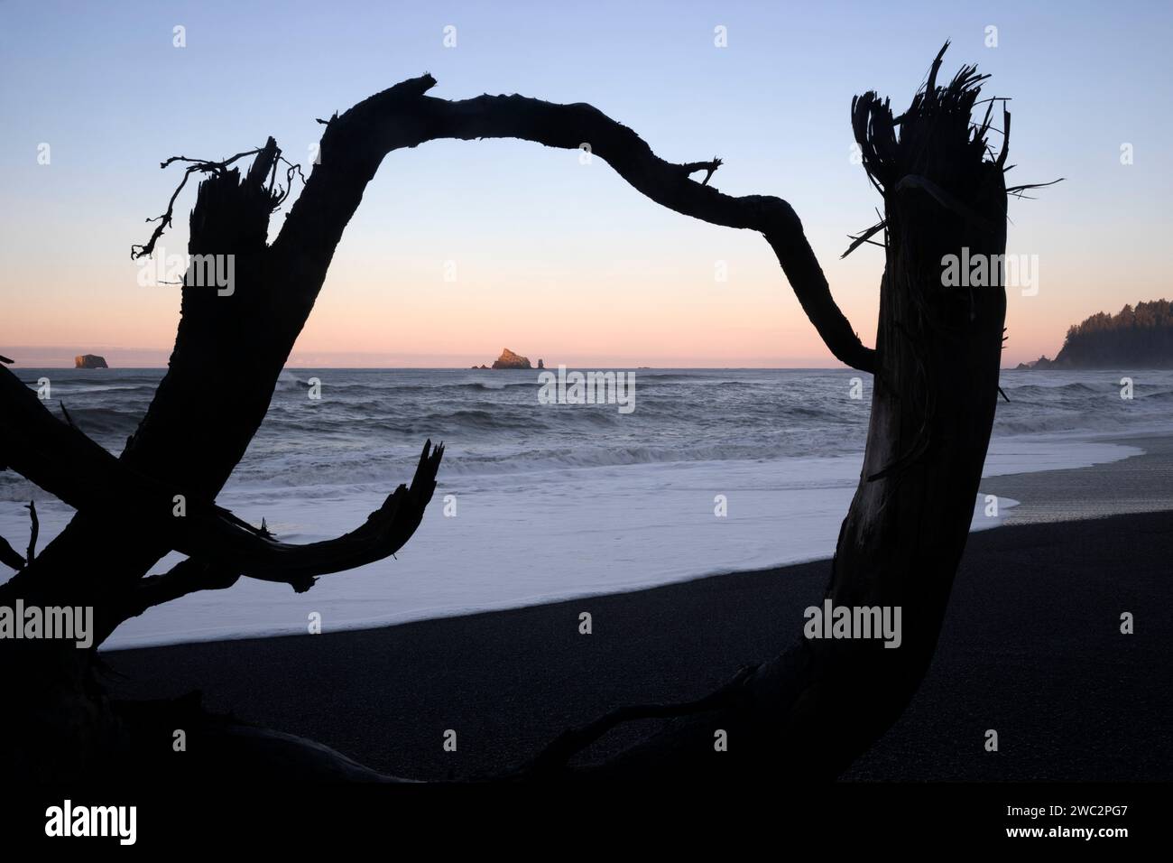 WA24683-00....WASHINGTON - alba sull'Oceano Pacifico a Rialto Beach nel Parco Nazionale Olimpico. Foto Stock