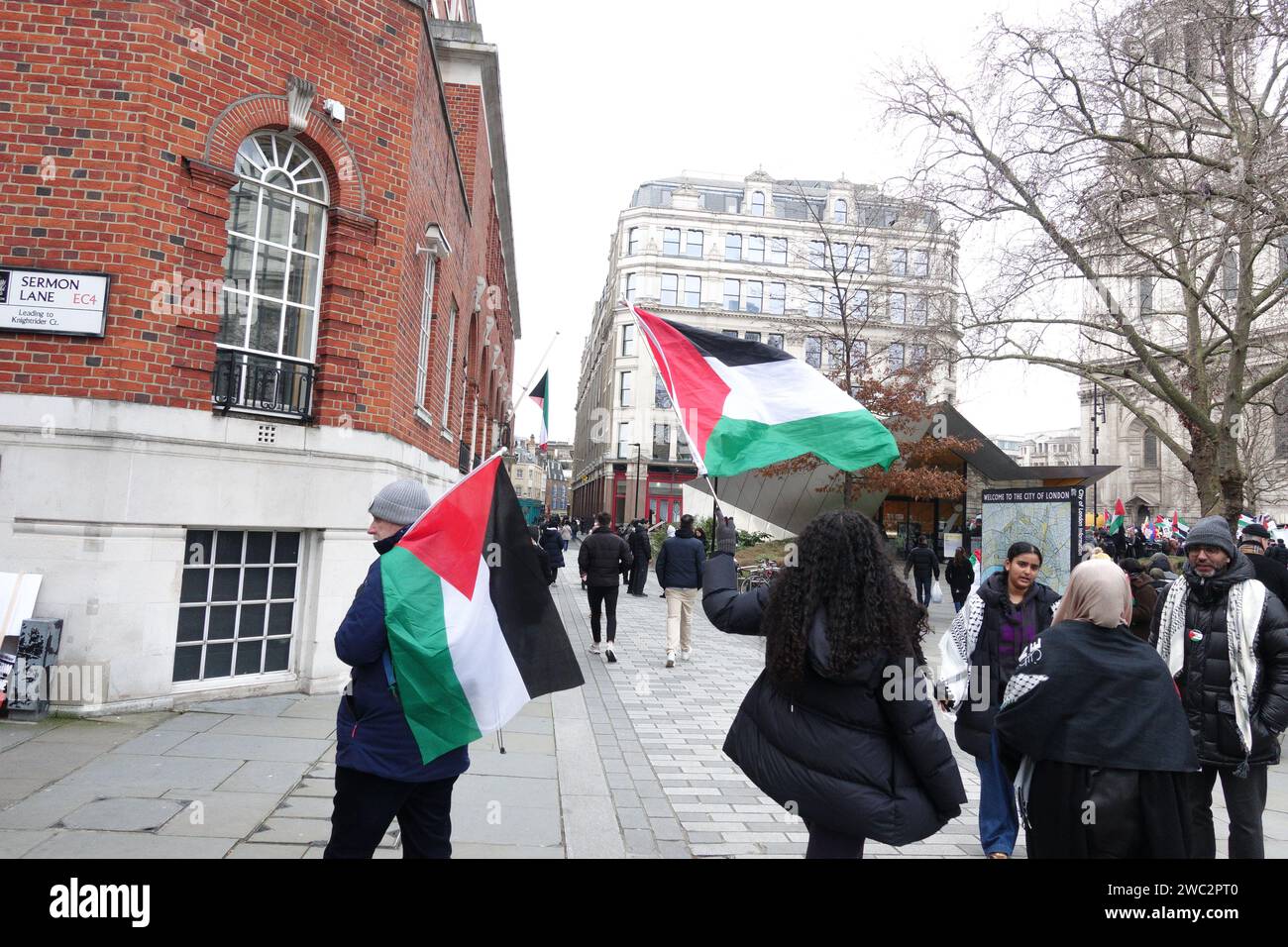 Londra, Regno Unito. 13 gennaio 2024 molte migliaia di persone hanno marciato per le strade a sostegno della Palestina e dello Yemen contro i recenti scioperi condotti dal Regno Unito/Stati Uniti. Questa è la prima grande protesta del 2024, e ha visto una grande affluenza alle urne nonostante il freddo. © Amstel Adams/ Alamy Live News Foto Stock