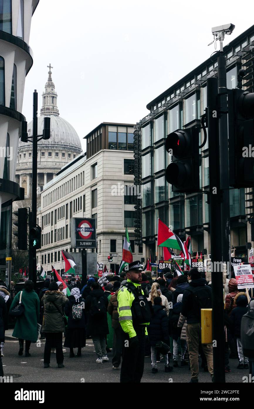 Londra, Regno Unito. 13 gennaio 2024 molte migliaia di persone hanno marciato per le strade a sostegno della Palestina e dello Yemen contro i recenti scioperi condotti dal Regno Unito/Stati Uniti. Questa è la prima grande protesta del 2024, e ha visto una grande affluenza alle urne nonostante il freddo. © Amstel Adams/ Alamy Live News Foto Stock