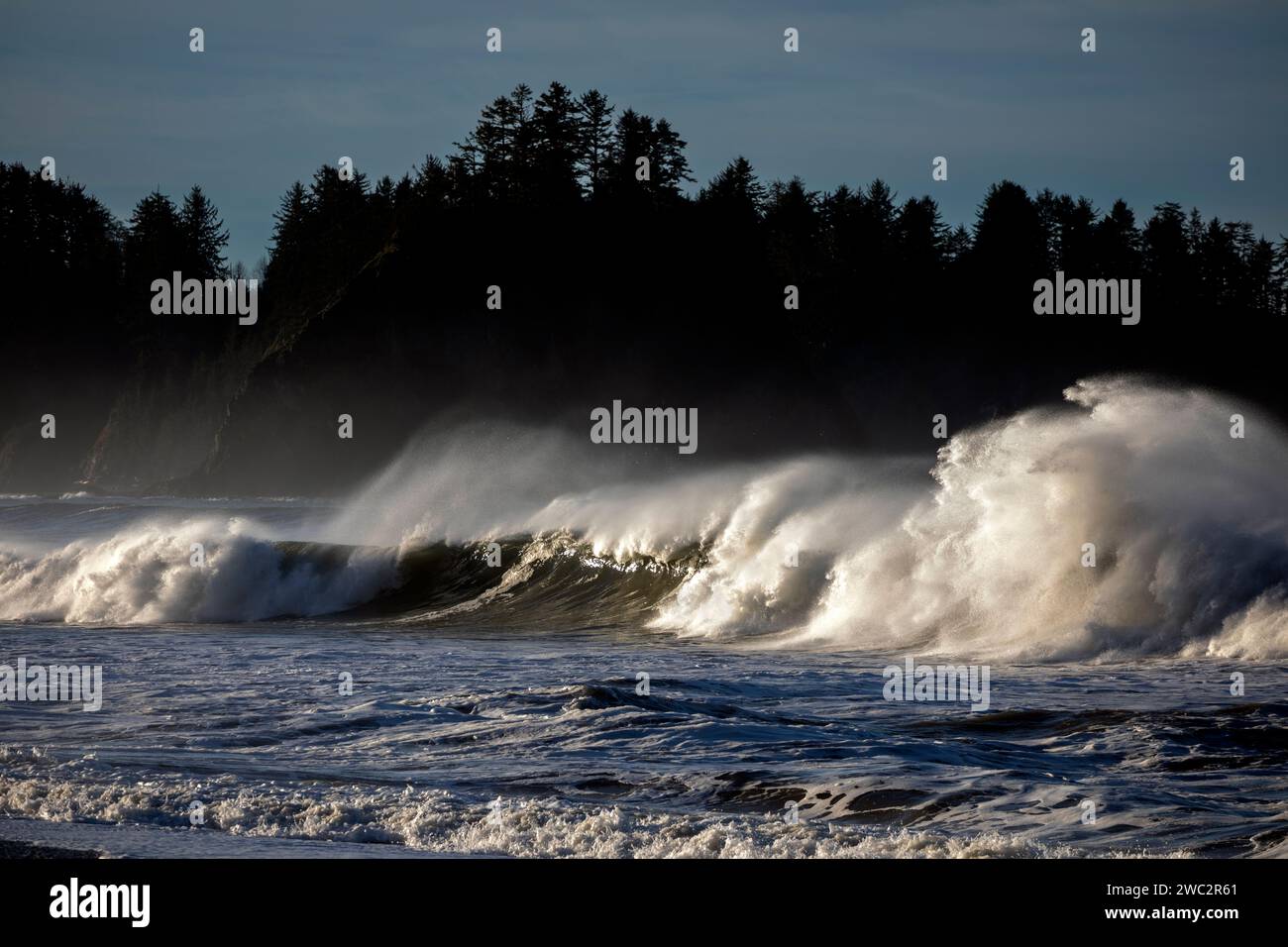 WA24688-00....WASHINGTON - le onde dell'Oceano Pacifico e James Island da Rialto Beach all'Olympic National Park. Foto Stock