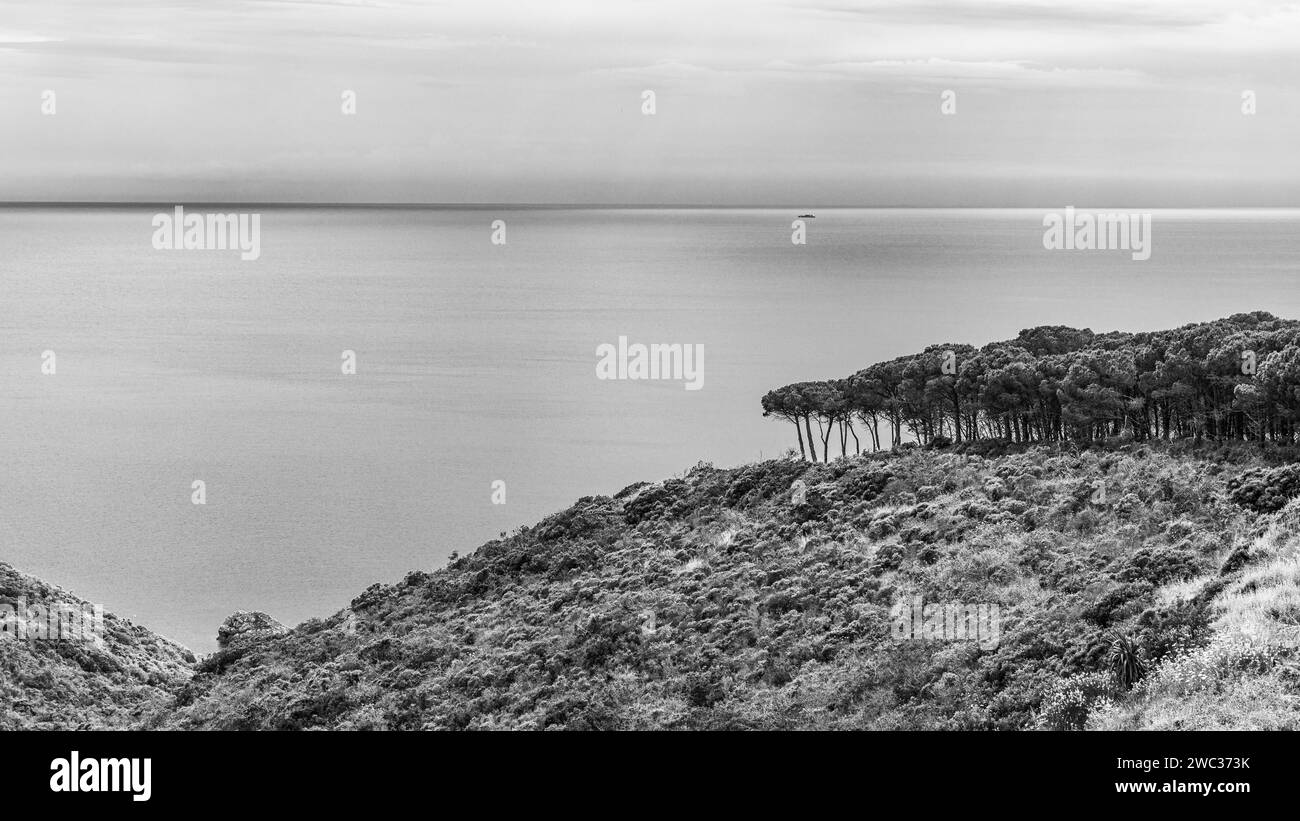 Vista sul Mar Tirreno dalla terrazza della tenuta delle Ripalte, fotografia in bianco e nero, Elba, Arcipelago Toscano, Toscana, Italia Foto Stock