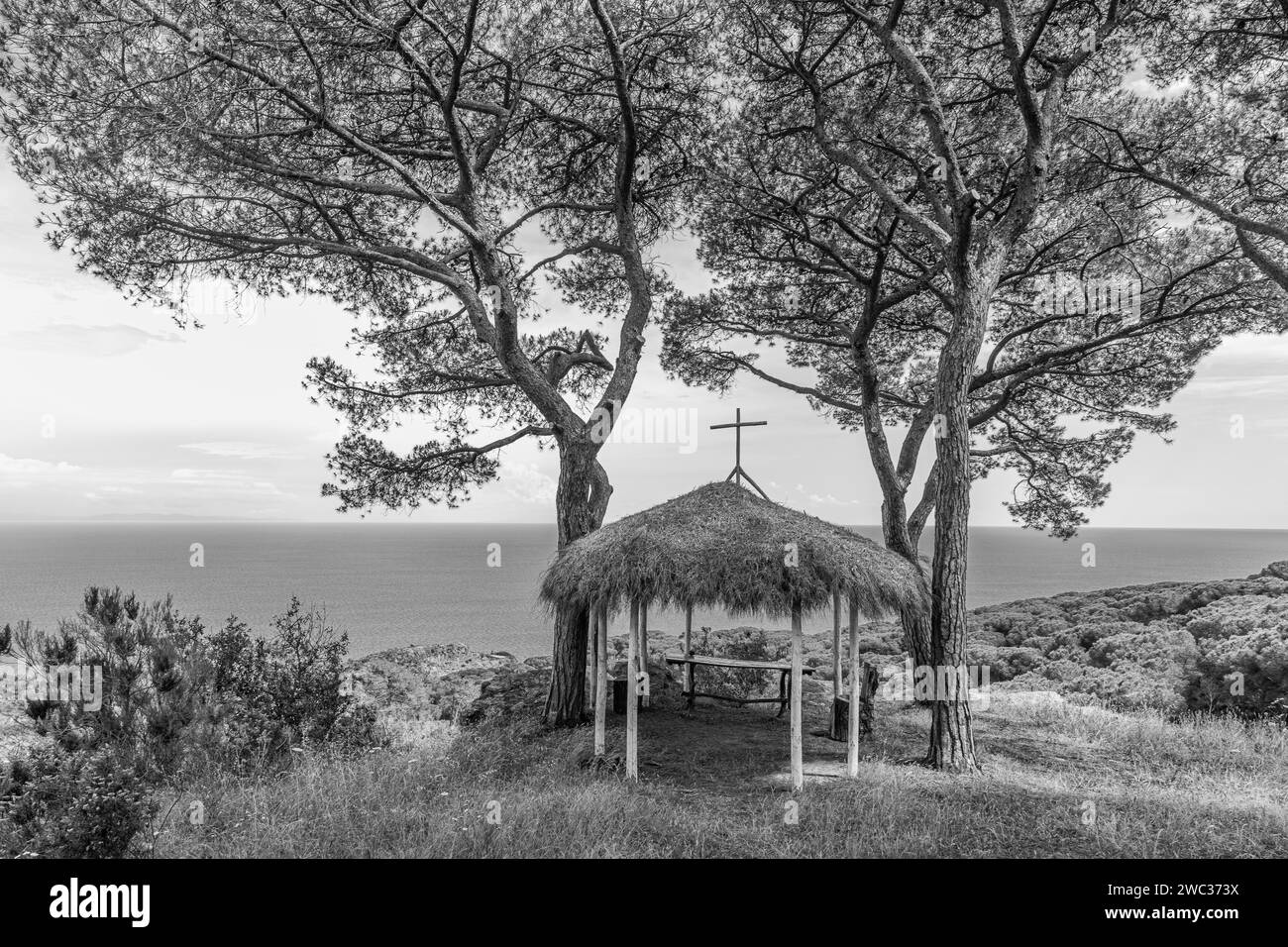 Piccola cappella improvvisata con tetto in paglia sotto i pini della tenuta delle Rippelte, fotografia in bianco e nero, Elba, Arcipelago Toscano Foto Stock