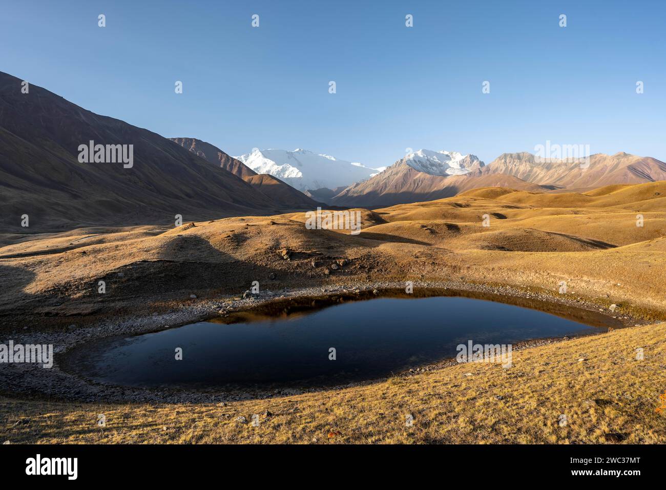 Il Pik Lenin, il monte bianco ghiacciato e innevato all'alba, il paesaggio montano con colline dorate e piccoli laghi, le montagne Trans Alay Foto Stock