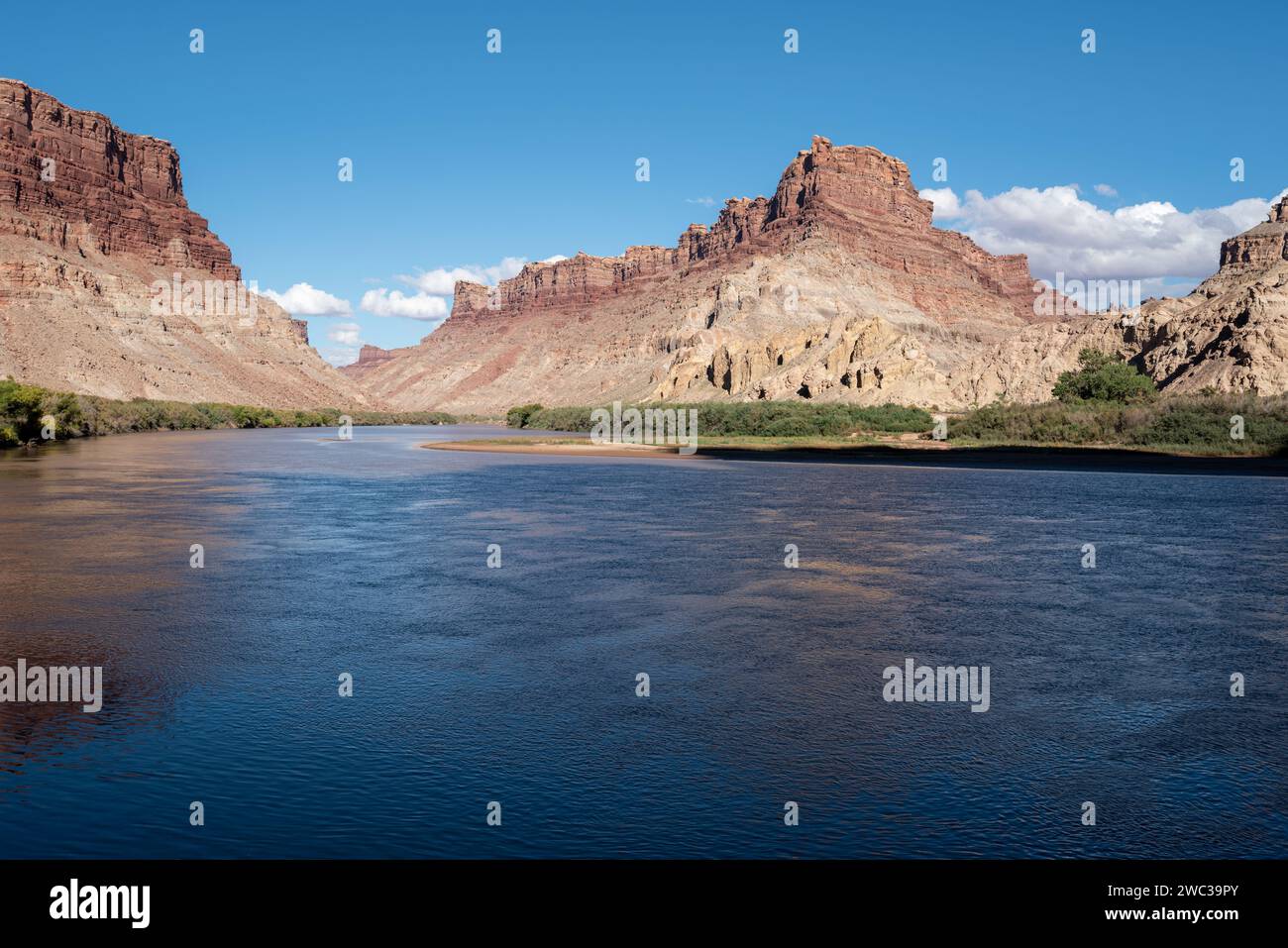 Fiume Colorado a Spanish Bottom, Canyonlands National Park, Utah. Foto Stock