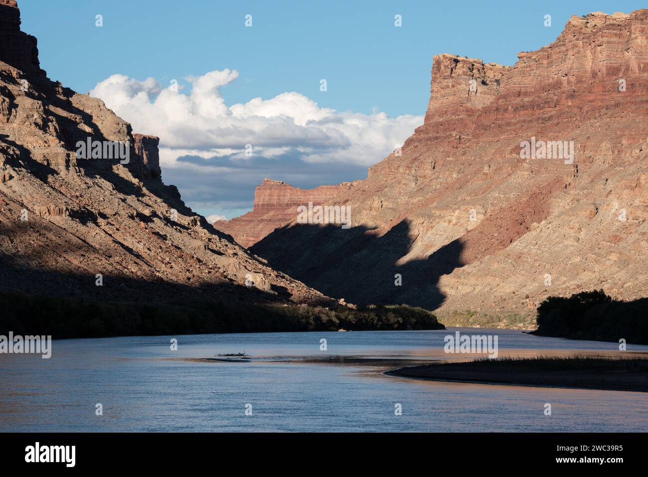 Fiume Colorado a Spanish Bottom, Canyonlands National Park, Utah. Foto Stock