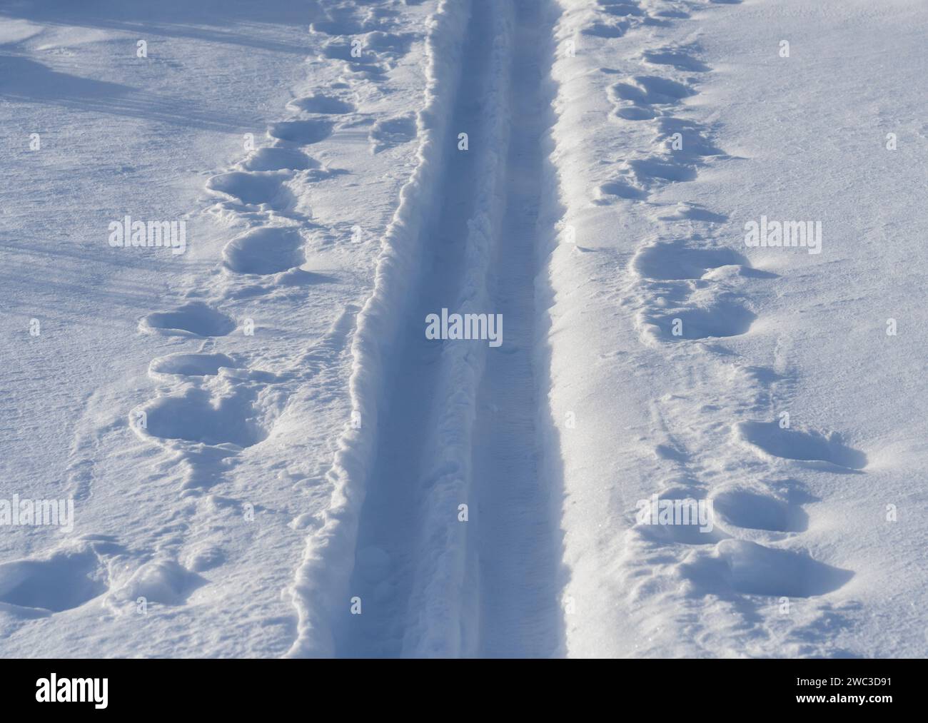 Pista da sci di fondo con ombre e pole mark a tarda ora. Foto Stock