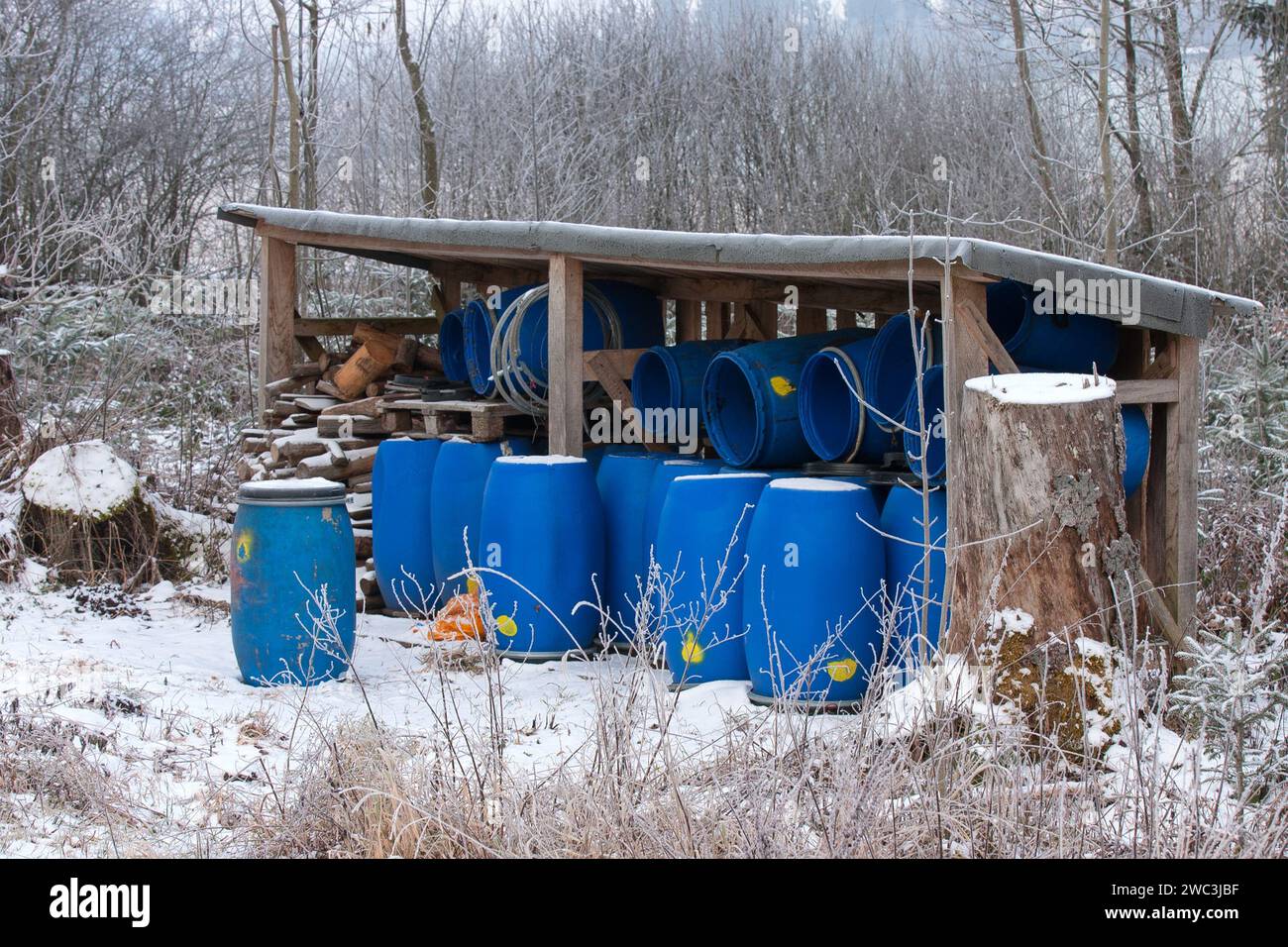 Uno spettacolo rustico, un capanno di legno di un cacciatore, botti di plastica blu custodiscono il segreto del materiale di Kirr, pronto a riempire la foresta di vita. Foto Stock