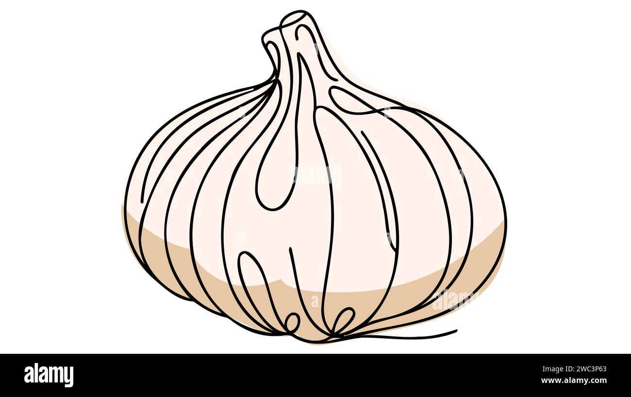 Aglio in stile disegno a linee continue. Schizzo lineare minimalista nero a bulbo d'aglio isolato su sfondo bianco. Illustrazione Vettoriale