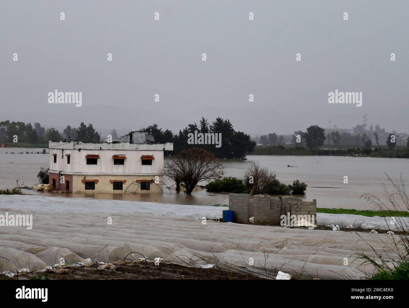 Tartus. 13 gennaio 2024. Questa foto scattata il 13 gennaio 2024 mostra i campi allagati nell'area di Akkar della provincia di Tartus, nella Siria nordoccidentale. Quattro persone sono state uccise sabato mentre la loro auto scivolava da un ponte in un forte flusso d'acqua indotto dalle piogge nella provincia siriana nordoccidentale di Tartus, ha riferito la radio locale Sham FM. Numerosi villaggi della provincia hanno subito pesanti calate e hanno subito le successive inondazioni, ha detto il rapporto, citando il governatore provinciale Hassan Hassan. Crediti: Str/Xinhua/Alamy Live News Foto Stock