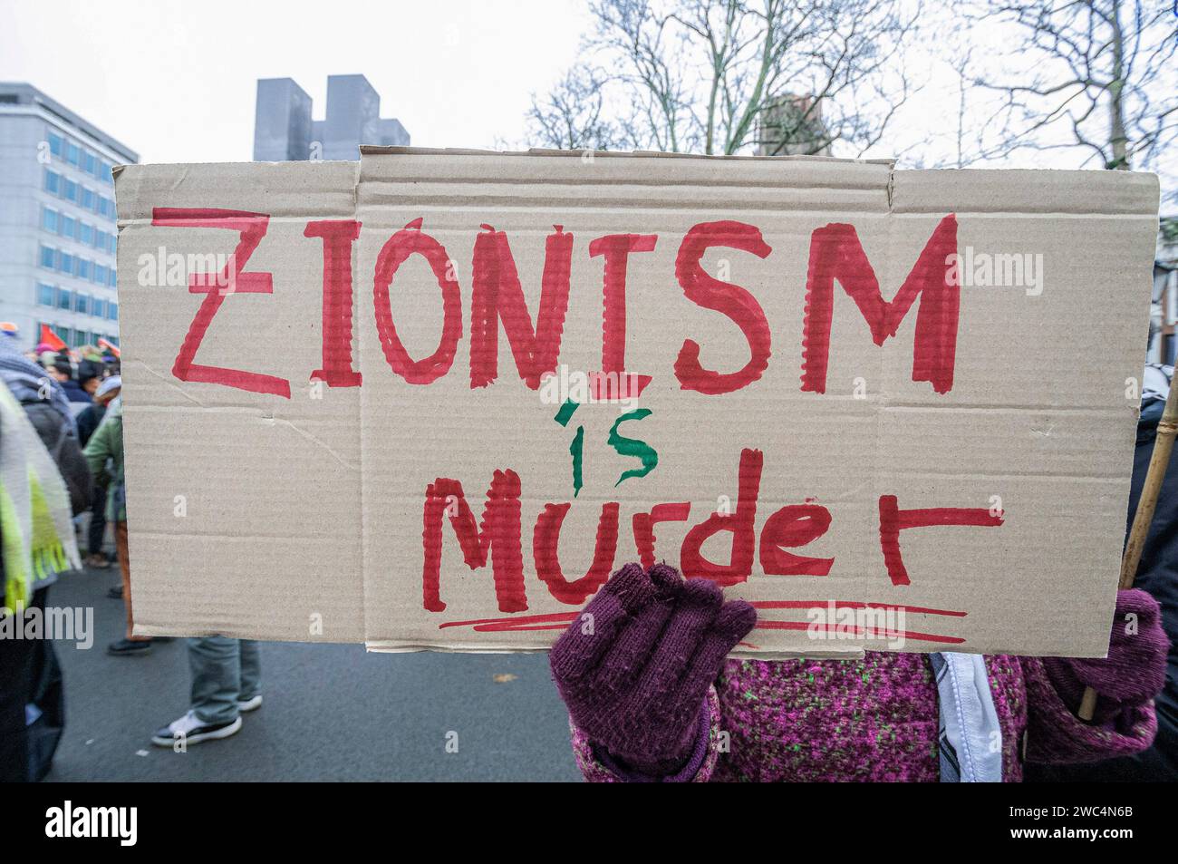 Un manifestante detiene un cartello che esprime la sua opinione durante l'udienza della Corte internazionale di giustizia (ICJ). Centinaia di sostenitori pro-palestinesi e alcuni pro-israeliani sono stati tenuti ben separati oggi, al di fuori della Corte internazionale di giustizia (ICJ) o del Palazzo della Pace dell'Aia, il secondo giorno dell'udienza. Il Sudafrica ha accusato Israele di genocidio nei confronti del popolo palestinese. Oggi, gli israeliani hanno avuto la possibilità di difendersi in tribunale e hanno respinto con veemenza le accuse come "infondate” e antisemite. A Gaza, più di 23.800 persone - per lo più donne e bambini lo hanno fatto Foto Stock