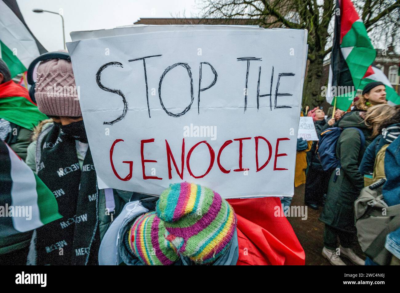 Un manifestante tiene un cartello con la scritta "Stop genocidio" durante l'audizione della Corte internazionale di giustizia (ICJ). Centinaia di sostenitori pro-palestinesi e alcuni pro-israeliani sono stati tenuti ben separati oggi, al di fuori della Corte internazionale di giustizia (ICJ) o del Palazzo della Pace dell'Aia, il secondo giorno dell'udienza. Il Sudafrica ha accusato Israele di genocidio nei confronti del popolo palestinese. Oggi, gli israeliani hanno avuto la possibilità di difendersi in tribunale e hanno respinto con veemenza le accuse come "infondate” e antisemite. A Gaza, più di 23.800 persone - per lo più donne e bambini lo hanno fatto Foto Stock