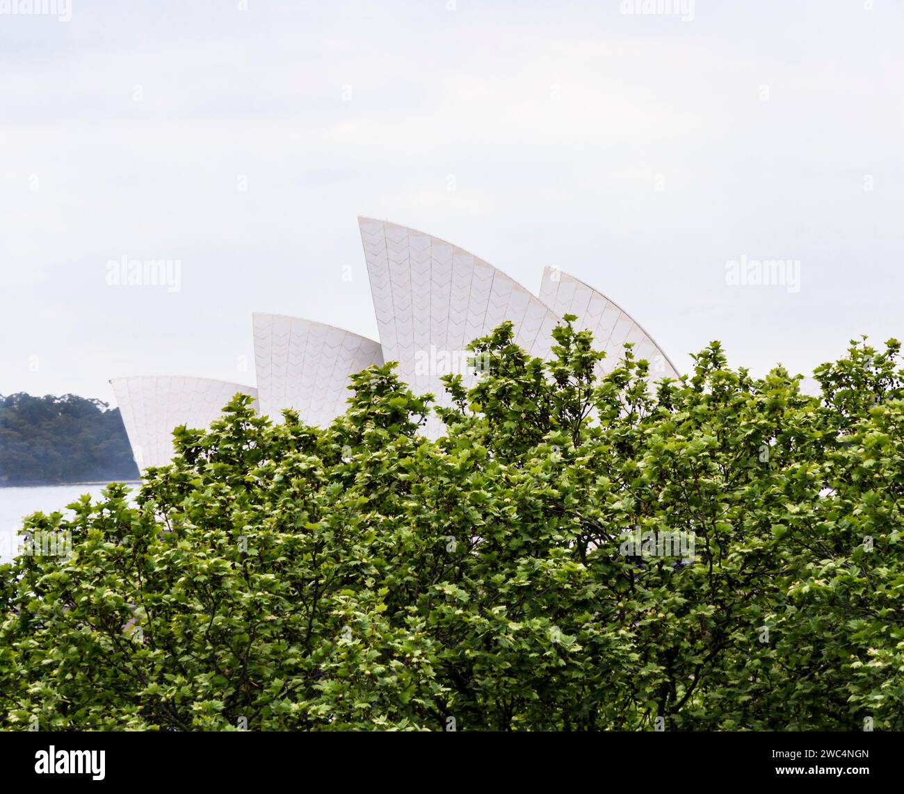 Dettaglio astratto delle conchiglie del tetto a forma di vela sulla Sydney Opera House, Bennelong Point, Sydney, nuovo Galles del Sud, Australia Foto Stock