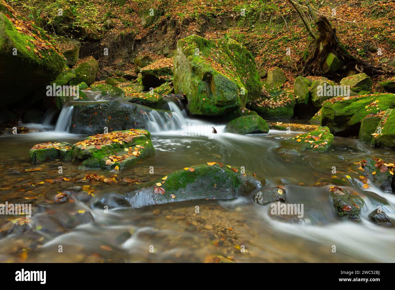 Piccolo fiume chiamato Schwarze Ernz vicino alla cascata Schiessentuempel in Lussemburgo Foto Stock