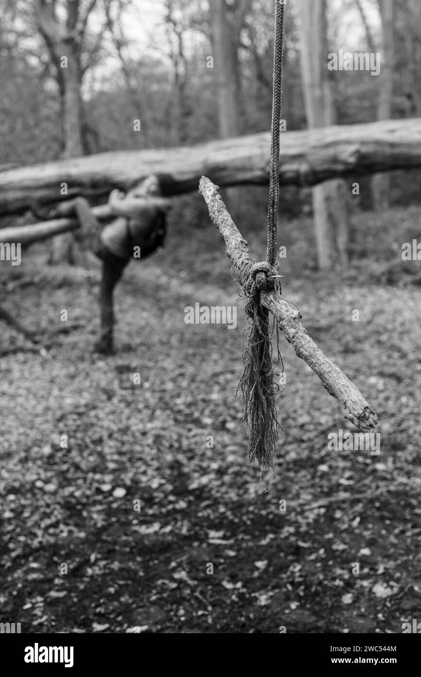 Un'altalena di corda è appesa nel bosco nel nord di Londra, Regno Unito Foto Stock