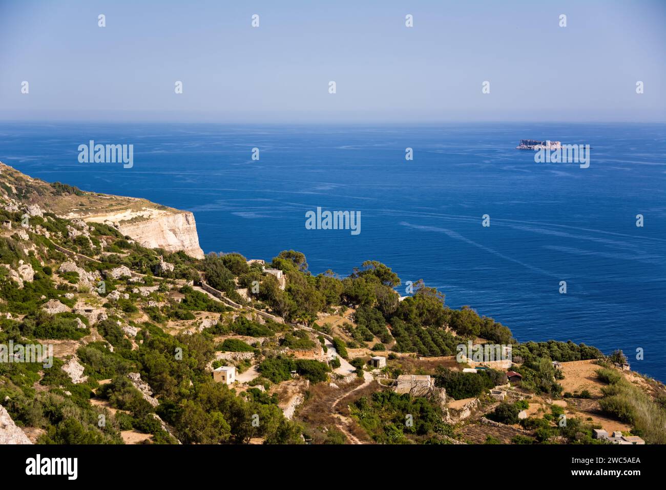 Vista della scogliera di Dingle e dell'isola di Filfla Foto Stock
