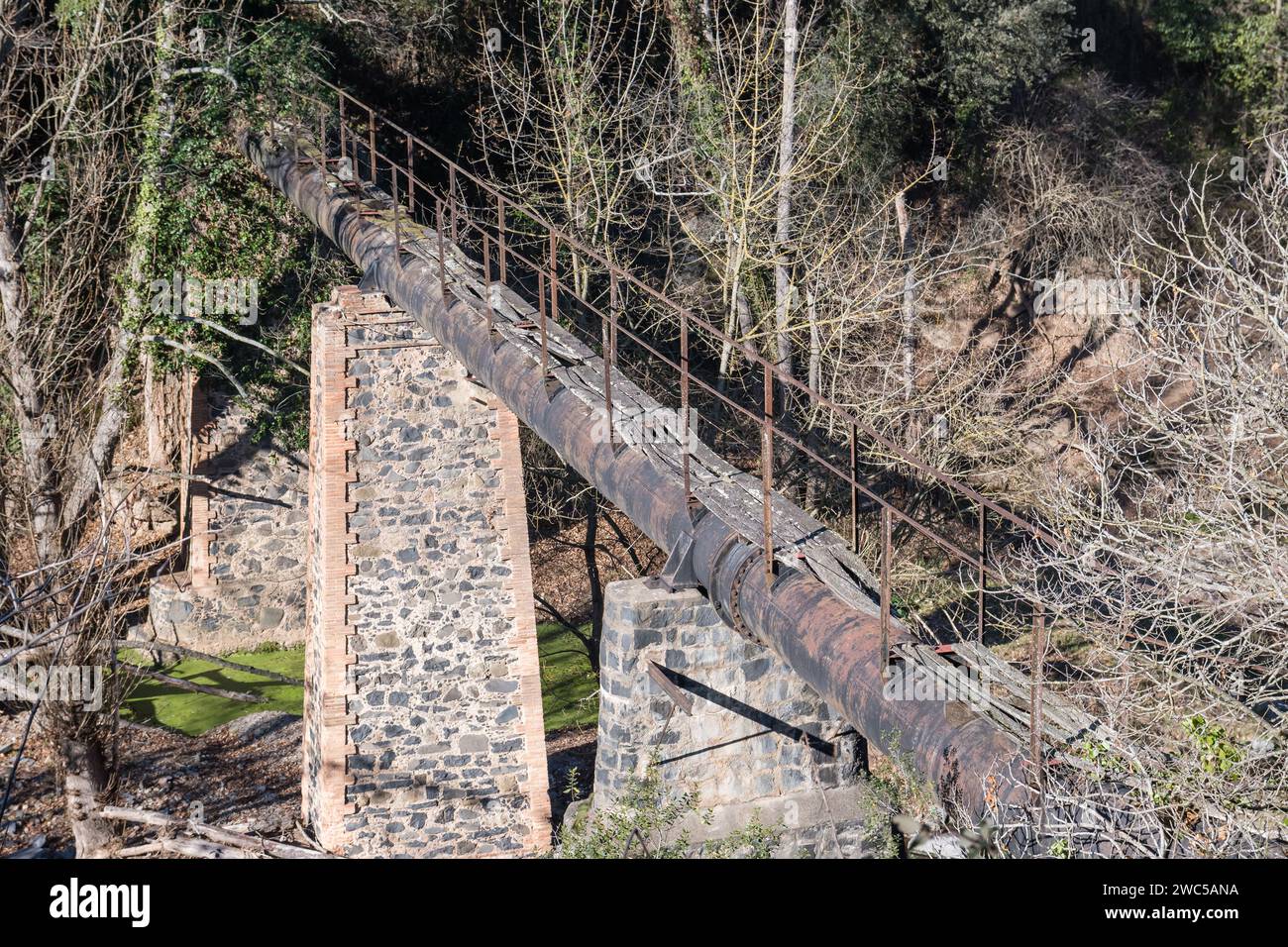 ponte per una vecchia pipa d'acqua con passerella in cima, Sant Joan les Fonts, Garrotxa, Catalogna, Spagna Foto Stock