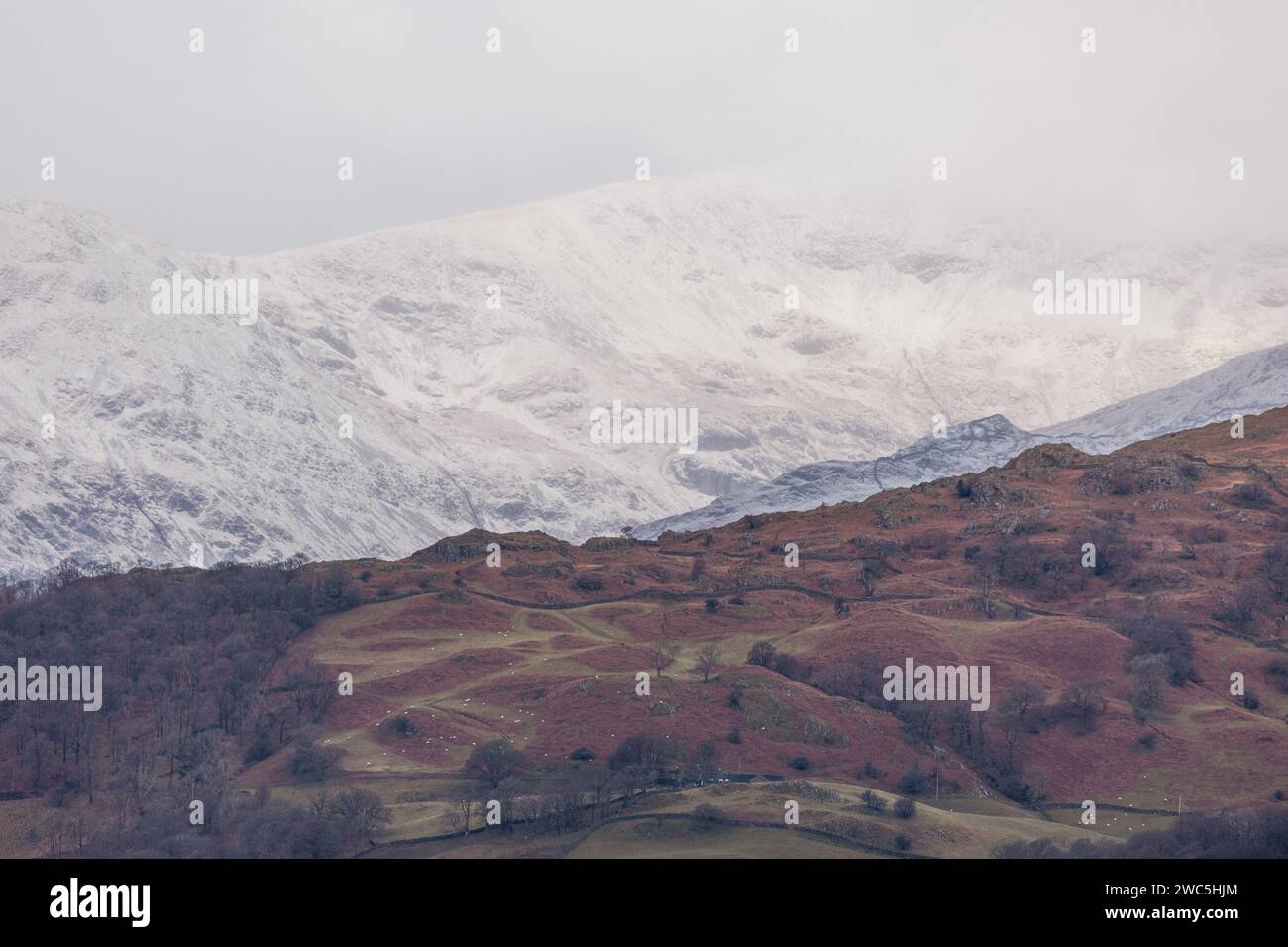 Cumbria, Regno Unito. 14 gennaio 2024. Meteo Regno Unito. Neve sulle alte colline intorno al bacino settentrionale del lago Windermere il Lake District . Credito: Gordon Shoosmith/Alamy Live News Foto Stock