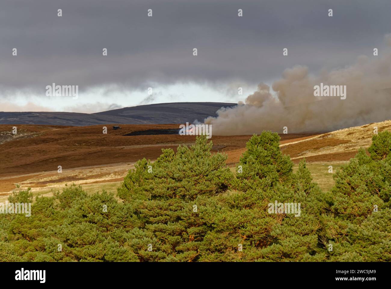 Gestiva la combustione di Heather per ripulire la vecchia vegetazione di Heather che si svolgeva intorno alla collina di Rowan vicino a Tarfside, nelle Glens di Angus. Foto Stock