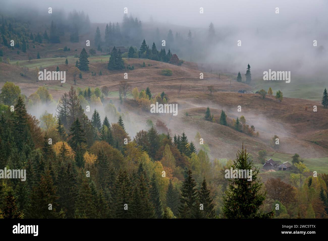 Idilliache cabine di legno nelle nebbiose Highlands. Autentica vita di campagna in montagna Foto Stock