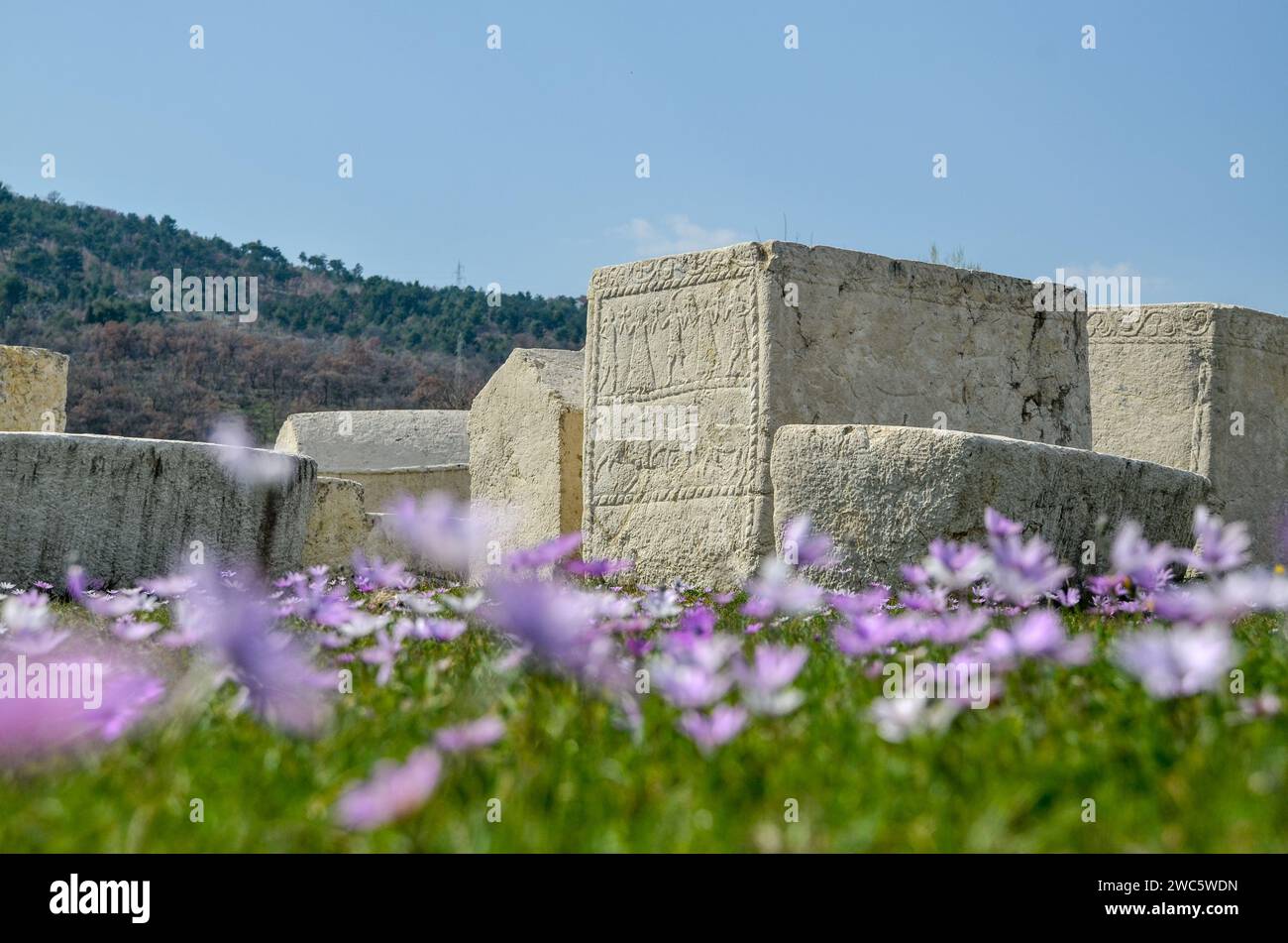 Stecak, monumentali lapidi medievali. Sito patrimonio dell'umanità dell'UNESCO. Stecci, Radimlja, Stolac, Bosnia ed Erzegovina. Foto Stock