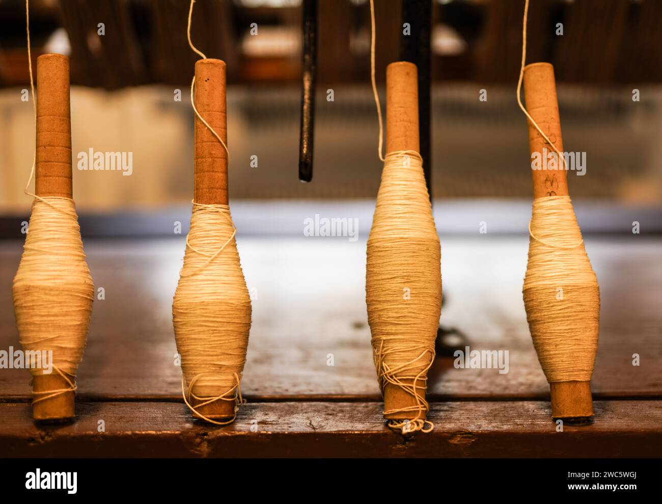 Primo piano dell'industria tessile. xix secolo. Museo in Polonia, Bielsko-Biala Foto Stock