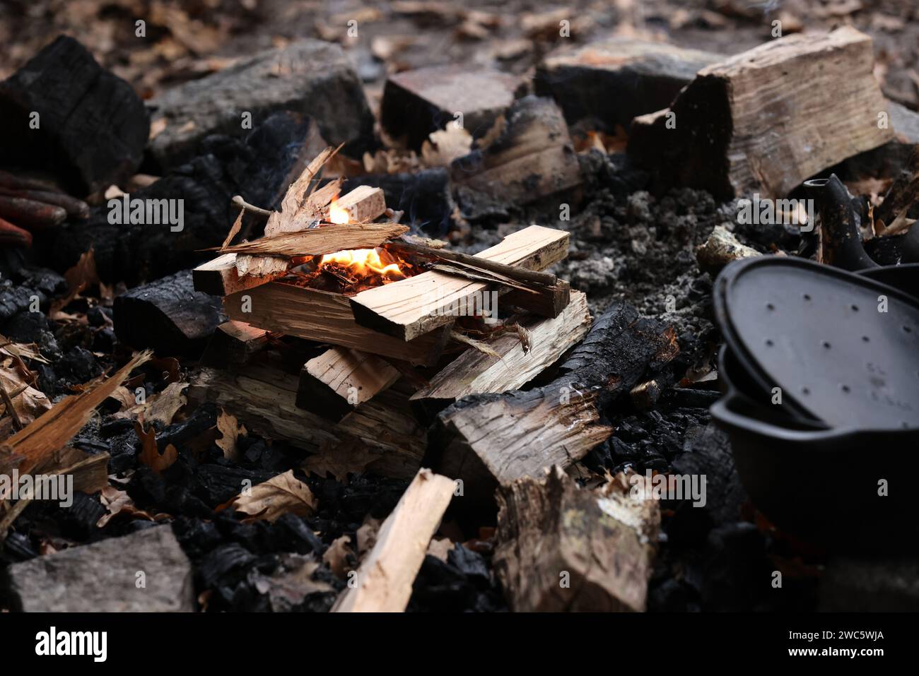 Viste generali dei dettagli ravvicinati durante una sessione della Forest School nel West Sussex, Regno Unito. Foto Stock