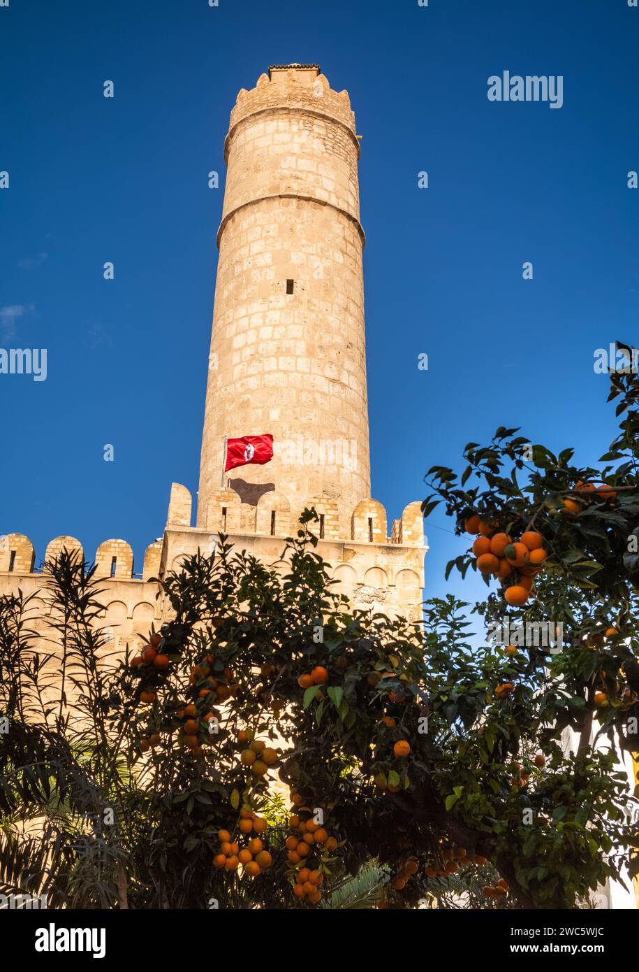 Aranci carichi di fronte alle imponenti mura, bastioni e torre della fortezza religiosa dell'VIII secolo, il Ribat di Sousse in Tunisia. E' una U Foto Stock