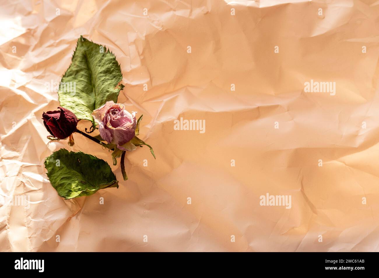 Immagine concettuale del tema di sfondo, carta da imballaggio, rose secche altri fiori e altre composizioni. Foto Stock Immagine concettuale del tema di sfondo, carta da imballaggio, rose secche altri fiori e altre composizioni. Foto Stock
