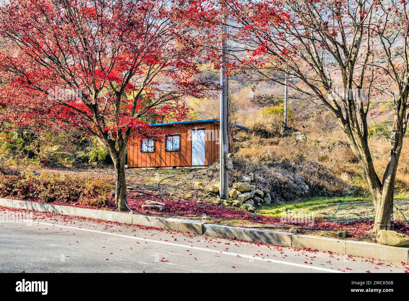 Deposito sul lato della strada in un parco di montagna con alberi dai colori autunnali Foto Stock