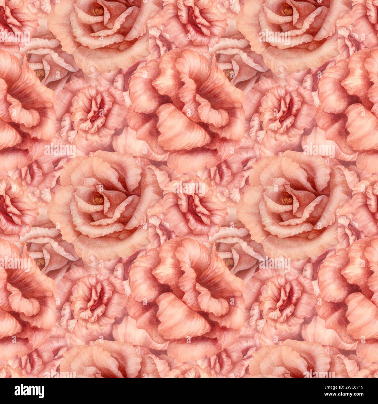 Motivo rosa acquerello senza cuciture con fiori di eustoma, in un elegante colore sfozz pesca per San Valentino, matrimonio, carta da imballaggio, scrapbooking, tessuto, Foto Stock