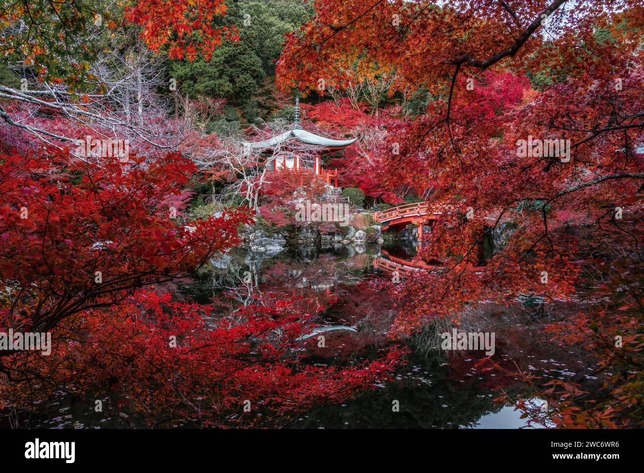 Autunno a Kyoto, Giappone, vibranti colori autunnali al tempio buddista Daigo-ji. Foto Stock