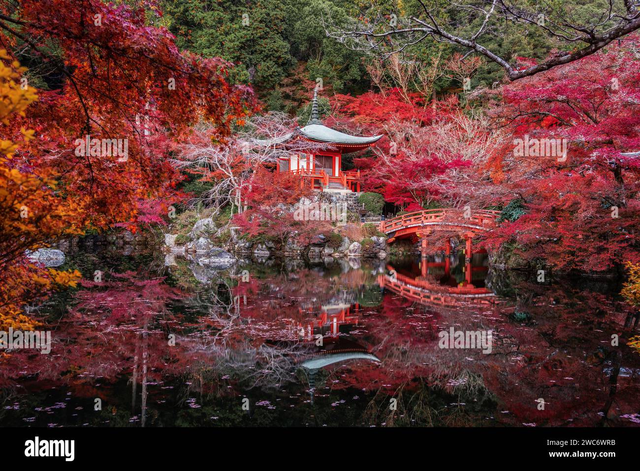 Autunno a Kyoto, Giappone, vibranti colori autunnali al tempio buddista Daigo-ji. Foto Stock