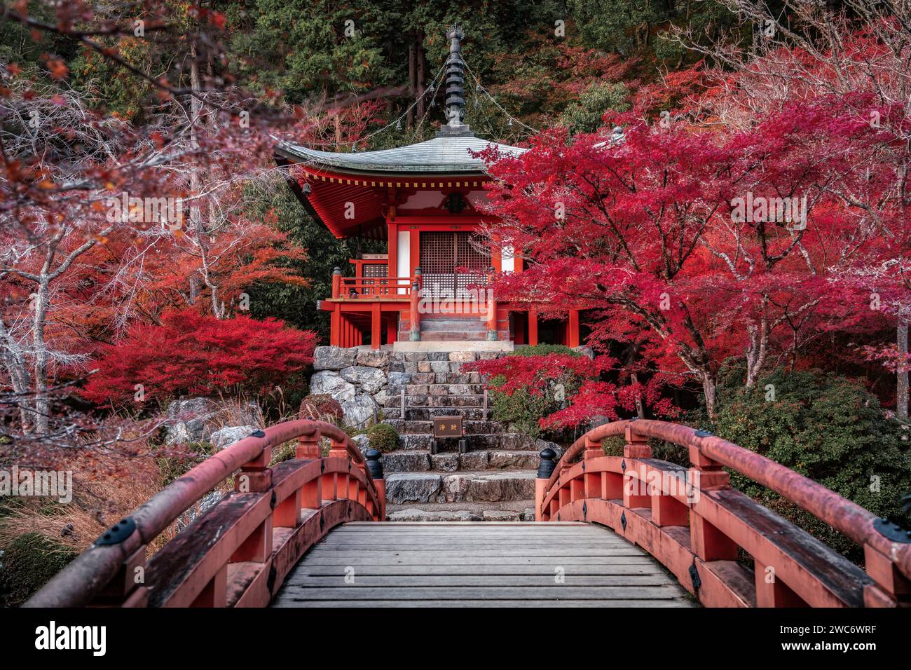 Autunno a Kyoto, Giappone, vibranti colori autunnali al tempio buddista Daigo-ji. Foto Stock