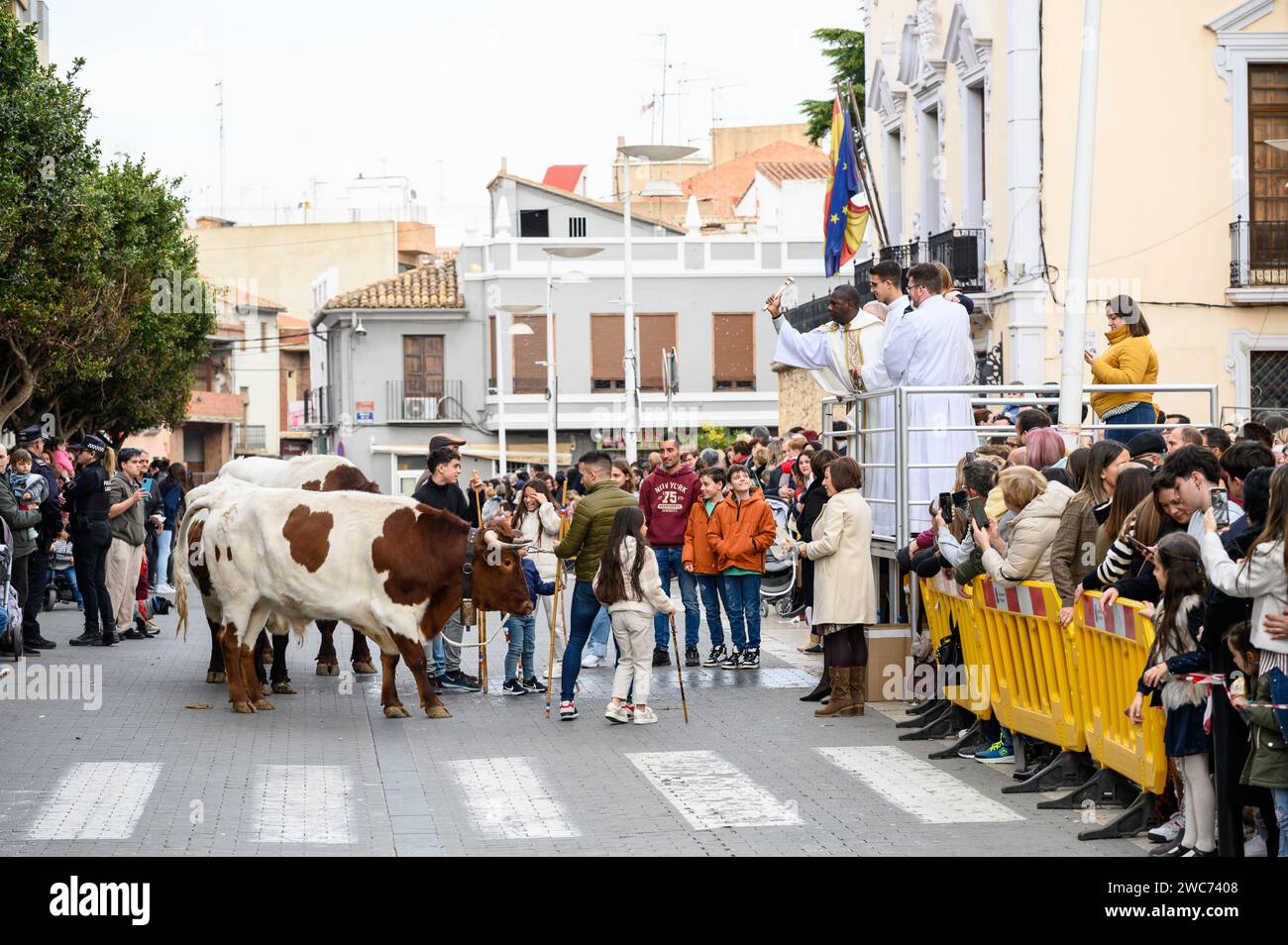 Celebrazione di St. Giorno di Antonio con la benedizione degli animali da parte dei sacerdoti nella strada di fronte alla chiesa, ad Alginet, Valencia, Spagna Foto Stock