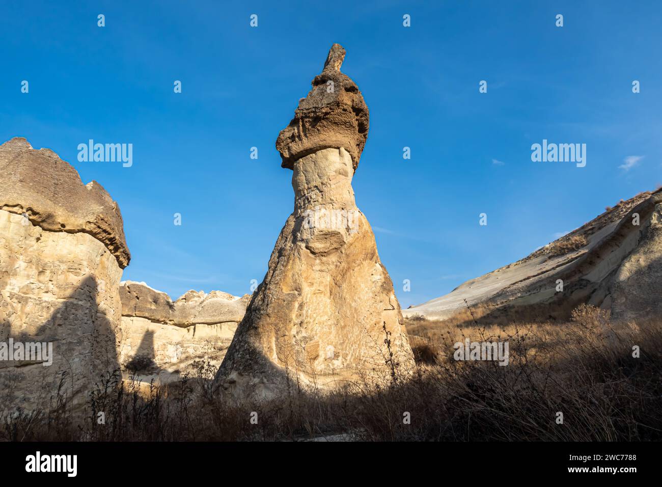 Valle Pasabag in Cappadocia con camini delle fate formazioni rocciose, Turchia Foto Stock