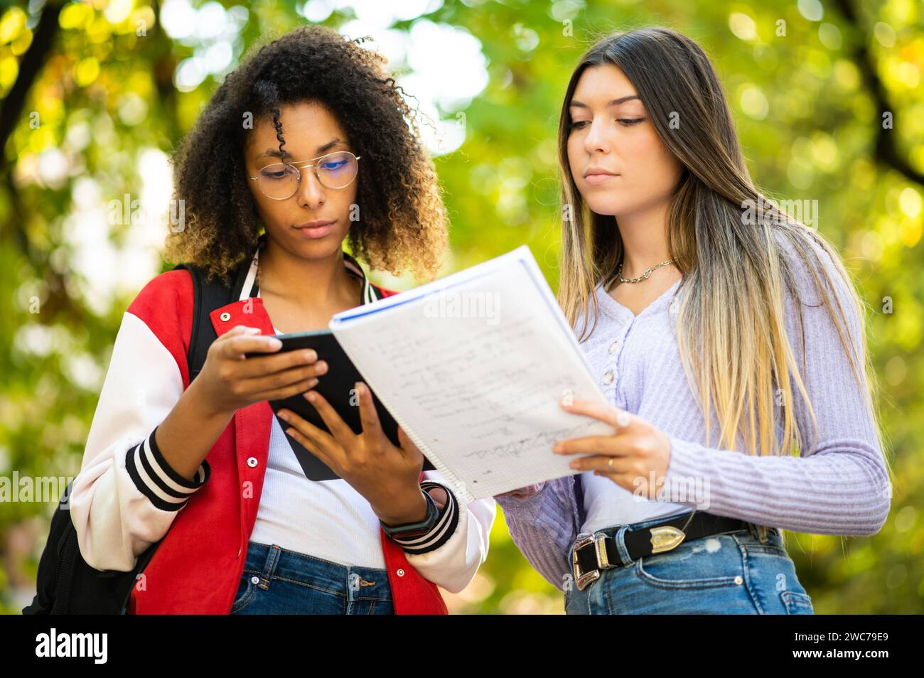 Studentesse multietniche che hanno una conversazione all'aperto Foto Stock